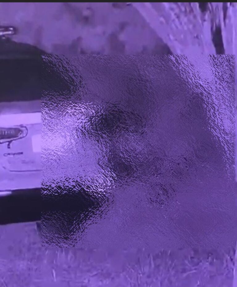 POLICIA RELACION SEXUAL