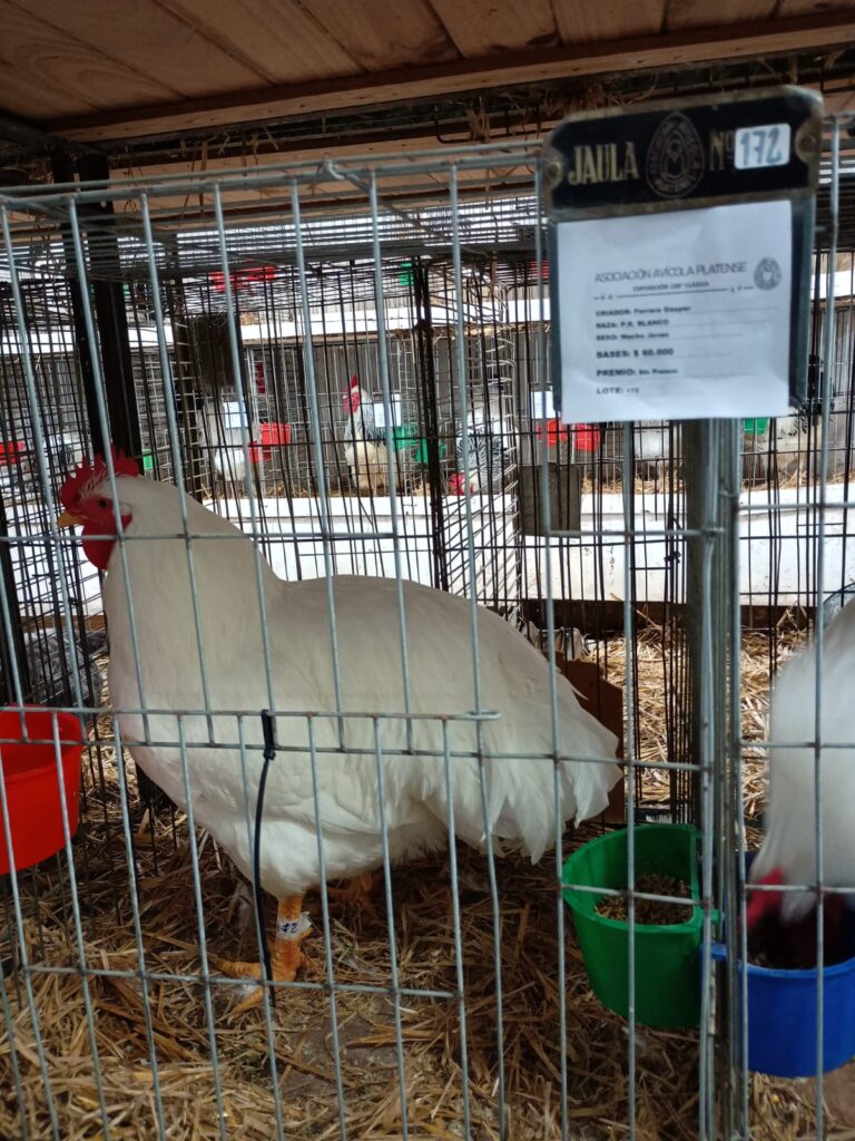 expo