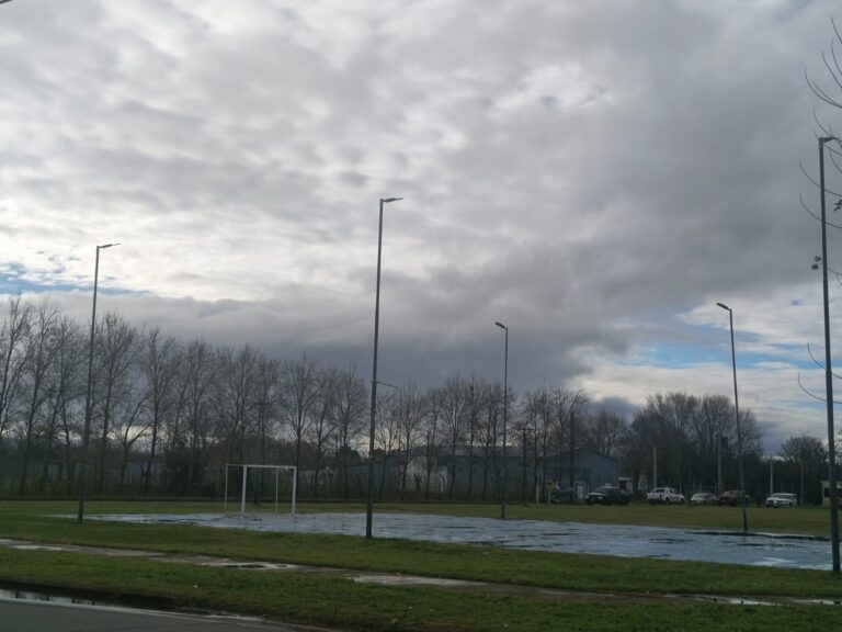 DIA GRIS RAUCH