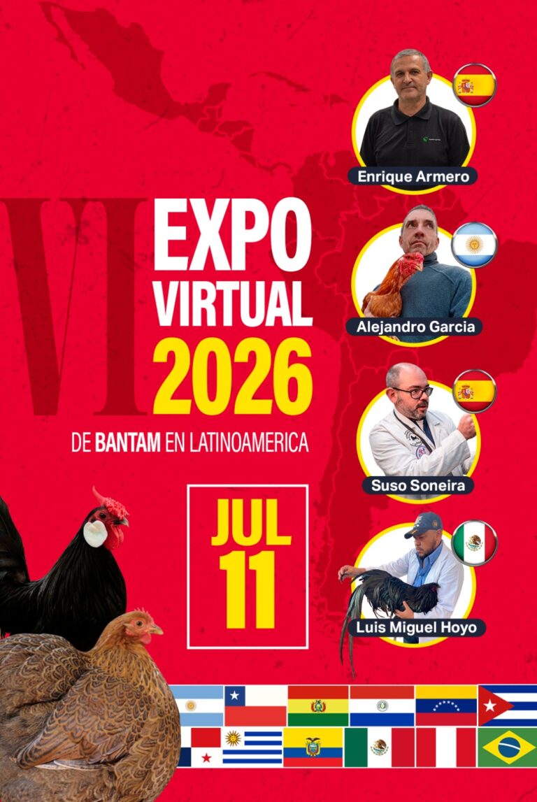expo virtual