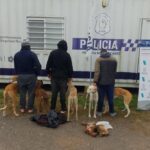 policial