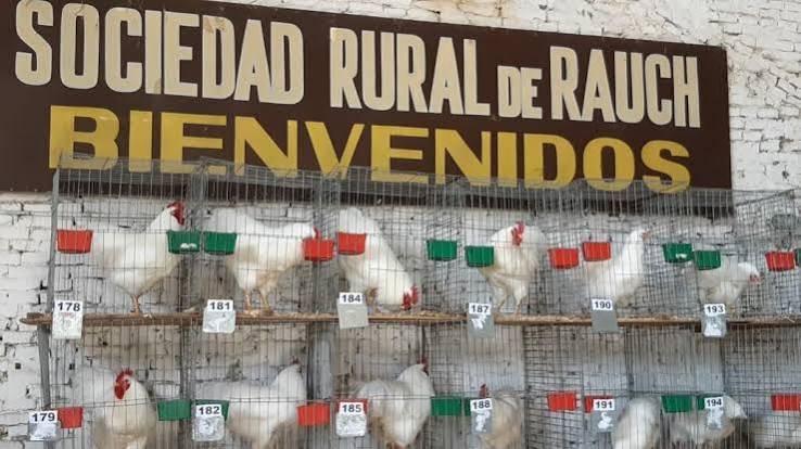 soc rural